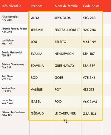 Feuille de calcul blanche et rouge avec des renseignements client, cellules remplies par la fonctionnalité Remplissage magique indiquées en jaune