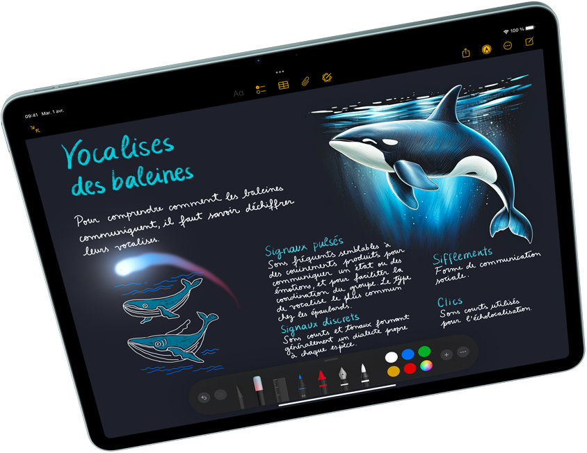 iPad Air en orientation paysage, mettant en valeur Apple Intelligence dans Image Playground; et Keynote, Apple Pencil Pro