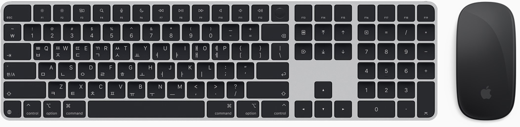 Magic Keyboard 및 Magic Mouse를 위에서 내려다본 모습