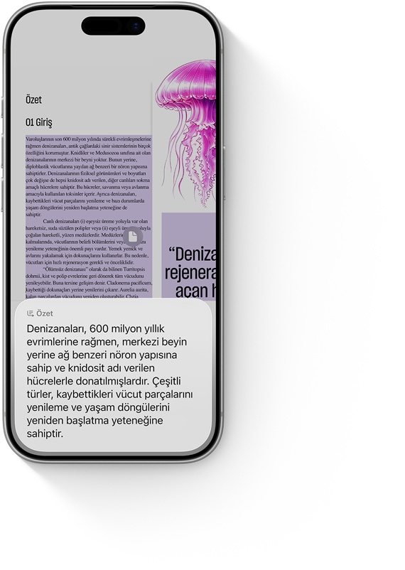 iPhone’da turuncu mantar lambalar için yapılan görsel zeka araması gösteriliyor; ardından ekran, Etsy’deki benzer tarzda mantar lambaların fotoğraflarını içeren çoklu görsel görünümüne geçiyor, Etsy sekmesinin yanında Google ve Pinterest sekmeleri yer alıyor
