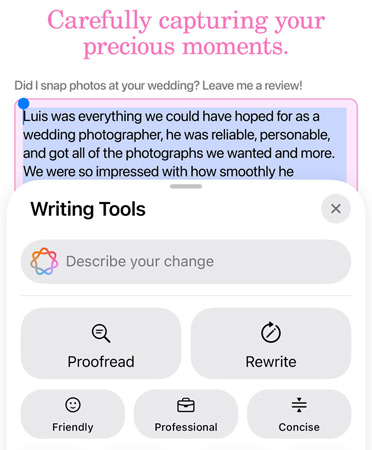 Writing Tools feature in use with options Proofread, Rewrite, Friendly, Professional and Concise